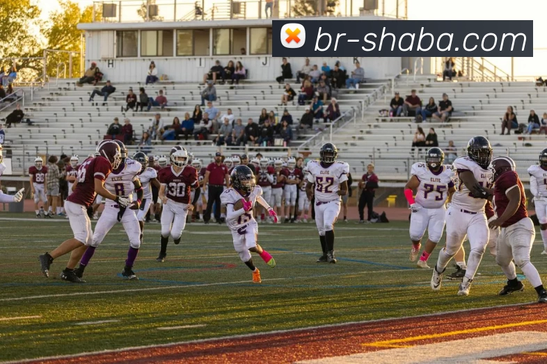 沙巴体育平台平台生态图